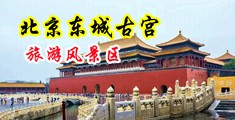 免费操女人视频中国北京-东城古宫旅游风景区